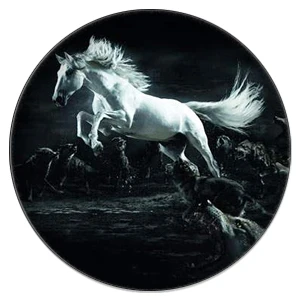 ZDYING 5 шт. круглые дикие лошади из бегущего стекла кабошон и Стекло изображение купола DIY демонстрационная плоская задняя часть - Цвет: HO04