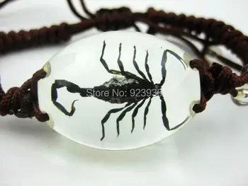 

free shipping 3 PCS REAL LUCID BLACK SCORPION BRACELET INSECT BANGLE GIFT MIX BRACELET ROPE