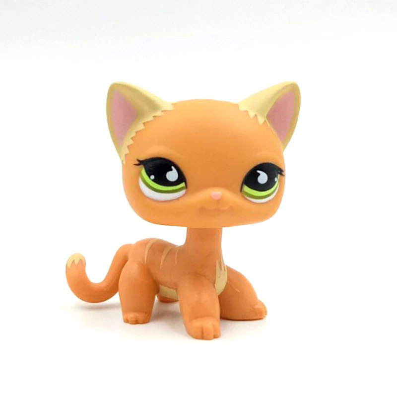 orange lps cat