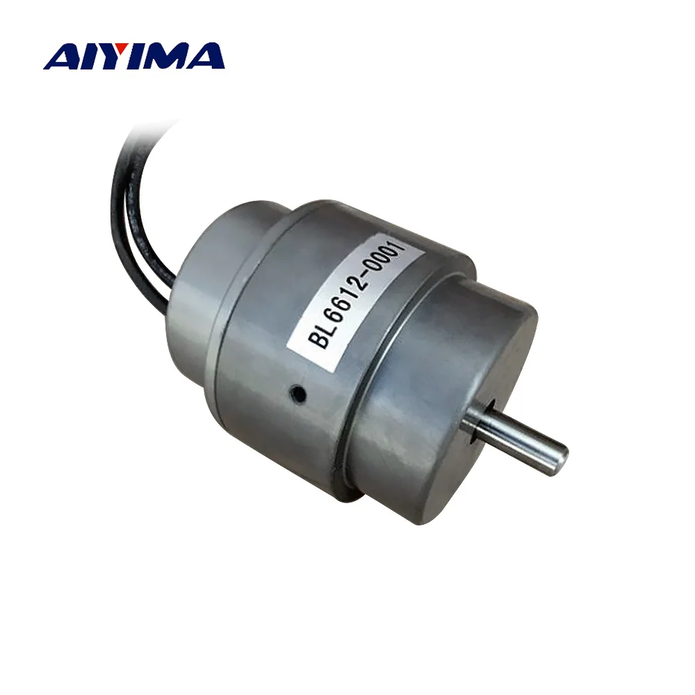AIYIMA Double Ball Bearing Motor DC 12V DC 24V Three Phase Hall DC