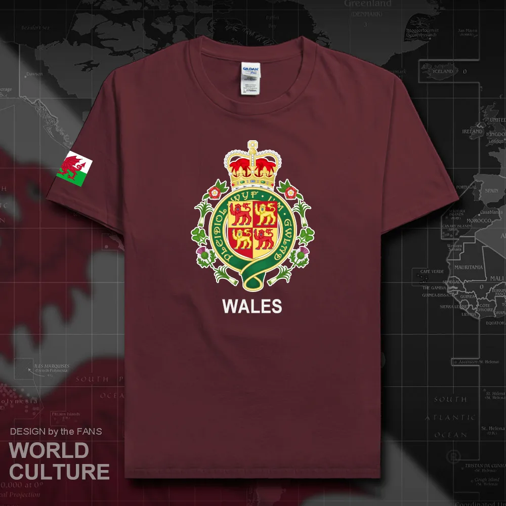 Футболка для мужчин Wales Cymru Повседневная хлопковая с принтом в виде звезд фитнеса