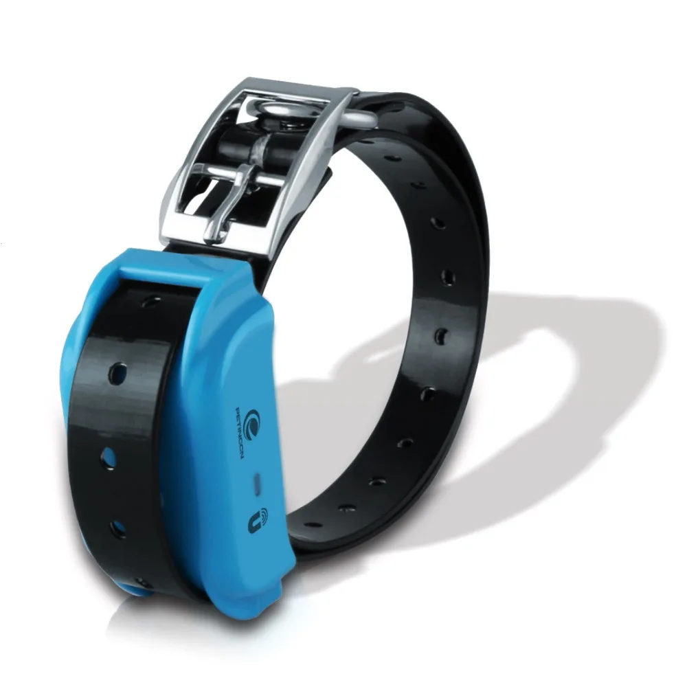 Receive with Belt Blue