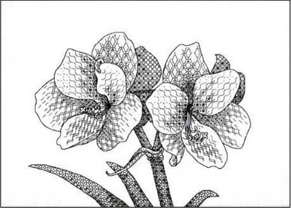 8386 1          150x116x1