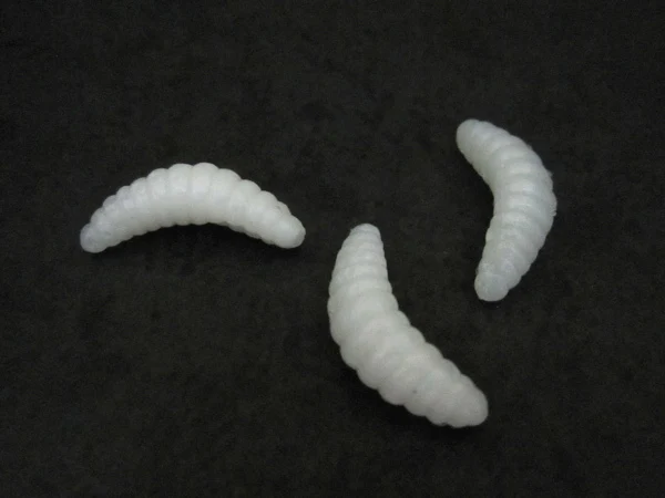 grub lure white 2