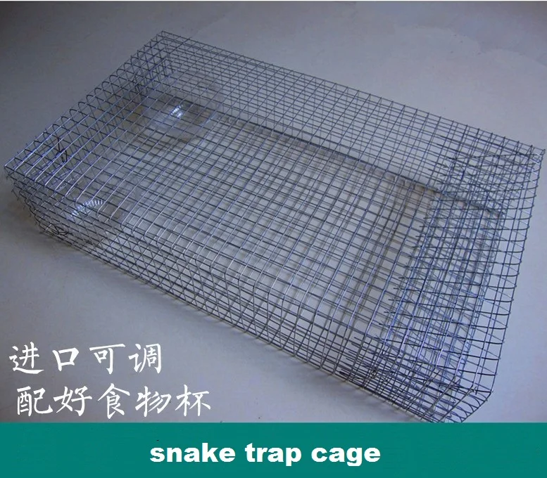 bass trap a poco prezzo trappola serpenti acquista a poco prezzo trappola serpenti bass trap a poco prezzo trappola serpenti acquista a poco prezzo trappola serpenti