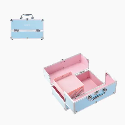 CASE (4)