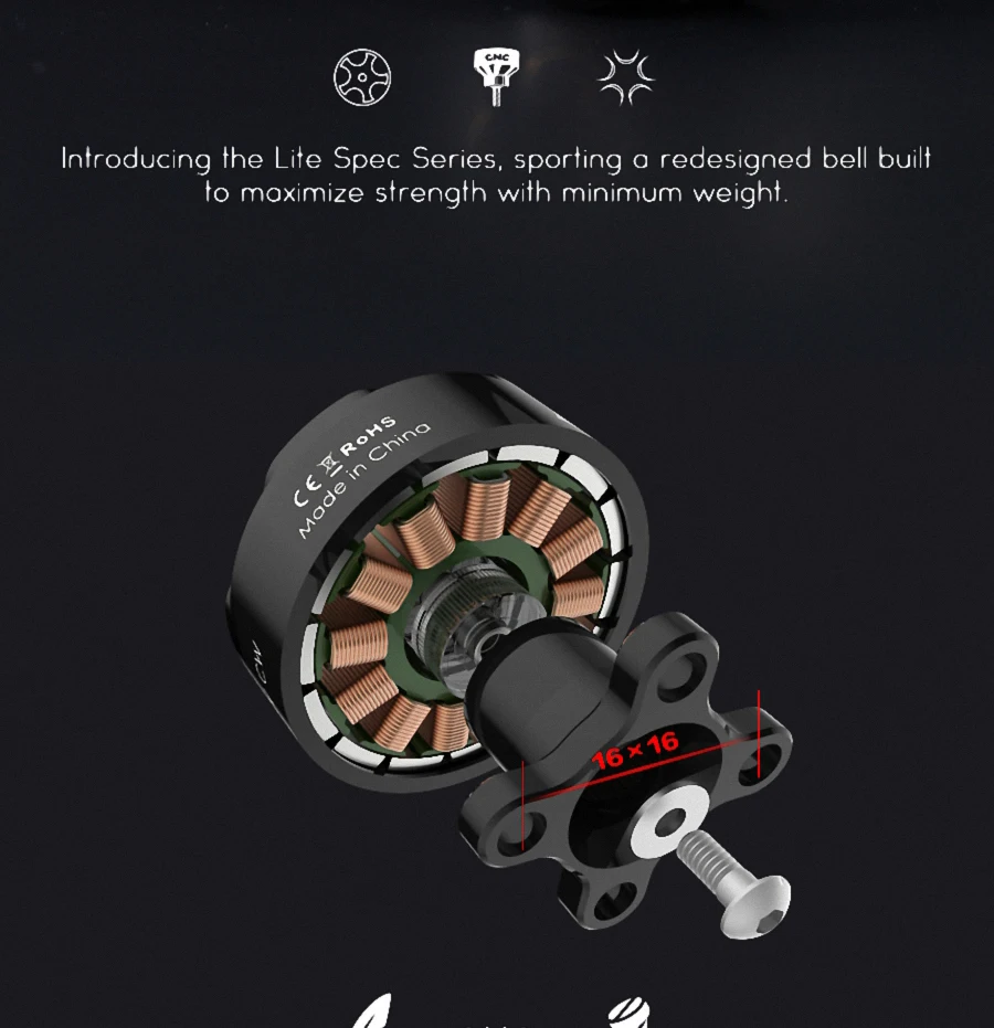 LS-infographic_02