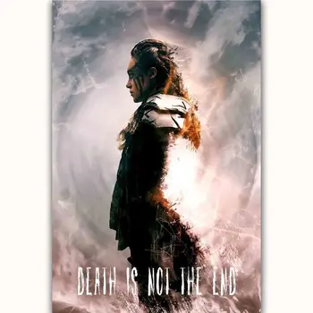 

Hot New USA TV Series Show Lexa The 100-Silk Art Poster Wall Sticker Decoration Gift