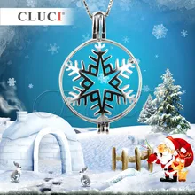 CLUCI Encanto Accesorios de La Joyería del Copo de nieve Flor de Lujo En Forma de Colgantes de los colgantes de la jaula 3 unids/regalo de Halloween Navidad