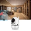 Video Surveillance