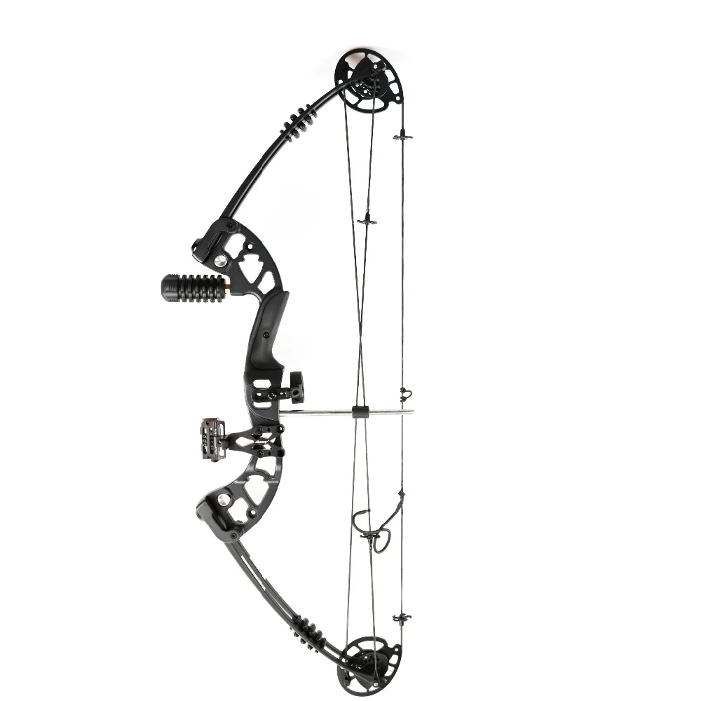

30-55 Lbs Compound Bow with Sight Brush Stabilizer D-Ring Wrist Ropes and Release Aid for Hunting Shooting Archery