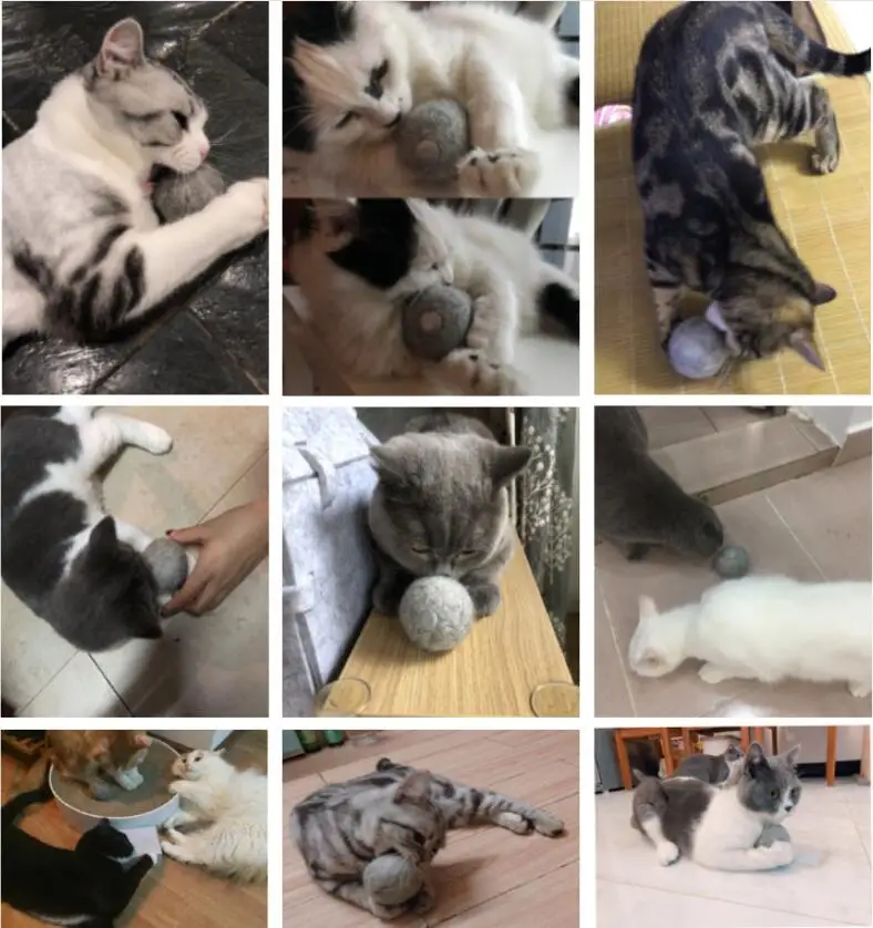QQ20181216191851