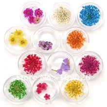 12 Горшков настоящие засушенные цветы дизайн ногтей советы из серии «сделай сам»