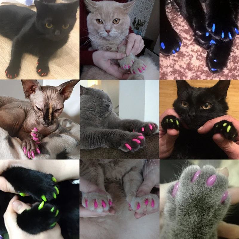 Buy 100Pcs Colorful Soft Rubber Pet Cats Claw Nail Covers with Glue