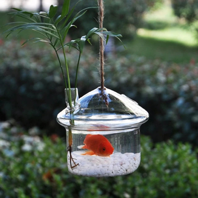 Nouvelle creative aquarium vase en verre bocal à poissons/hydroponique vase/Japonais champignon