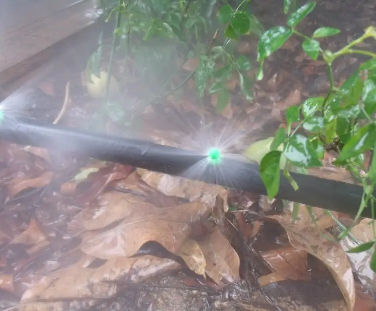 HTB1j7yTRFXXXXXkXFXXq6xXFXXXk.jpg?size=54585&height=621&width=750&hash=4adeeebeefd3fbf5dbd6c3805418c7c6