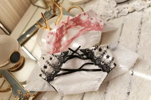 

100% Real Photoes Good Quality M L Cute Kawaii Princess Unique Emrboidery Lace Cross strape Panties Underwear Brief Thong WP276