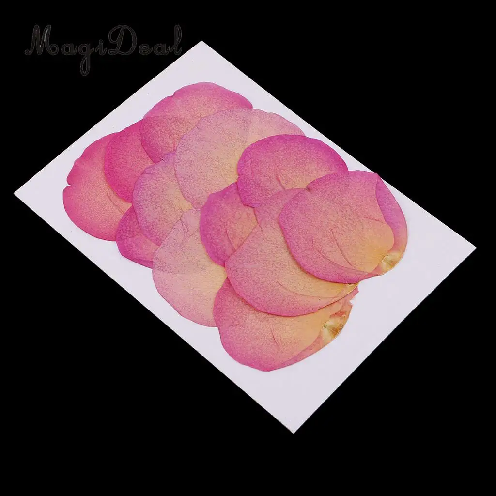 12 Pieces Pink Natural Real Dried Rose Flower Petals for DIY Wedding Christmas Card Making Phone Case Decoration