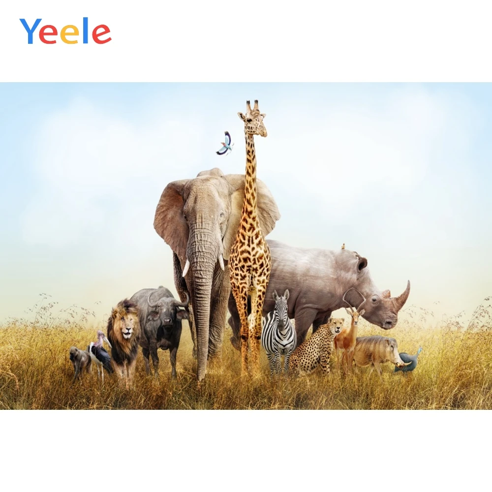 

Yeele Nature Autumn Animals Backdrops Baby Portrait Photography Background Customized Photographic Backdrop For Photo Studio