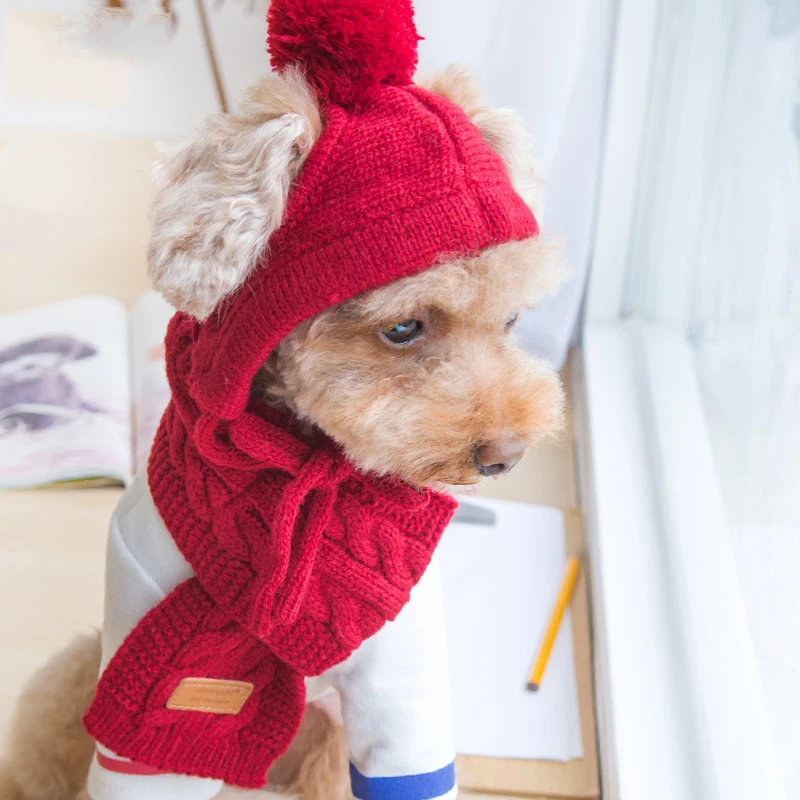Us 8 19 8 Off Luxury Knitting Pet Hats Scarf Winter Grooming Accessories Sets Red Black Gray Cotton Cats Dogs Supplies For Chihuahua Yorkshire In Us 8 19 8 Off Luxury Knitting Pet Hats Scarf Winter Grooming Accessories Sets Red Black Gray Cotton Cats Dogs Supplies For Chihuahua Yorkshire In