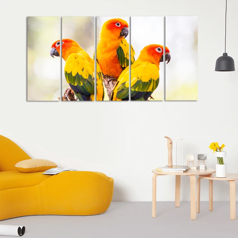 Home Decor Wall Painting Decorative Three Color Parrots Canvas Print ...