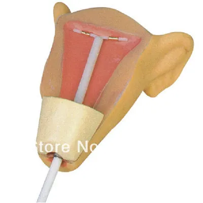 IUD тренажер для обучения, интраутериновое устройство для контрацепции, модель IUD