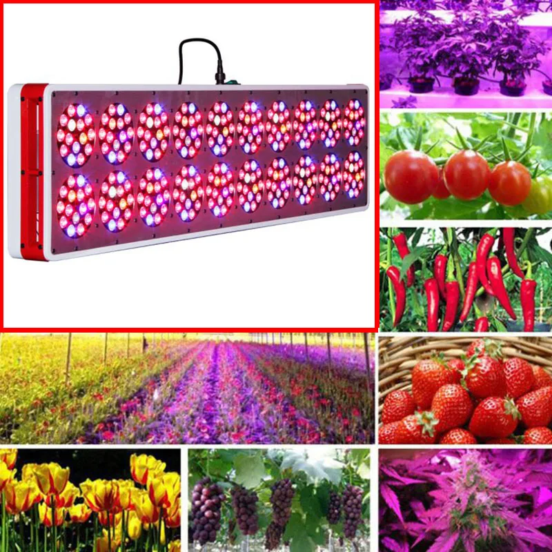 Beylsion 1500W Apollo 20 Full Spectrum Plant Grow LED Lamp AC85~265V Red Blue color For Plants Vegetative and Flowering (18)