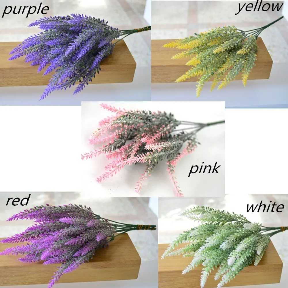 71d7EJcGa1L._SL1000_