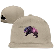 Мода галактика животное панда взрослая модная бейсбольная кепка регулируемая