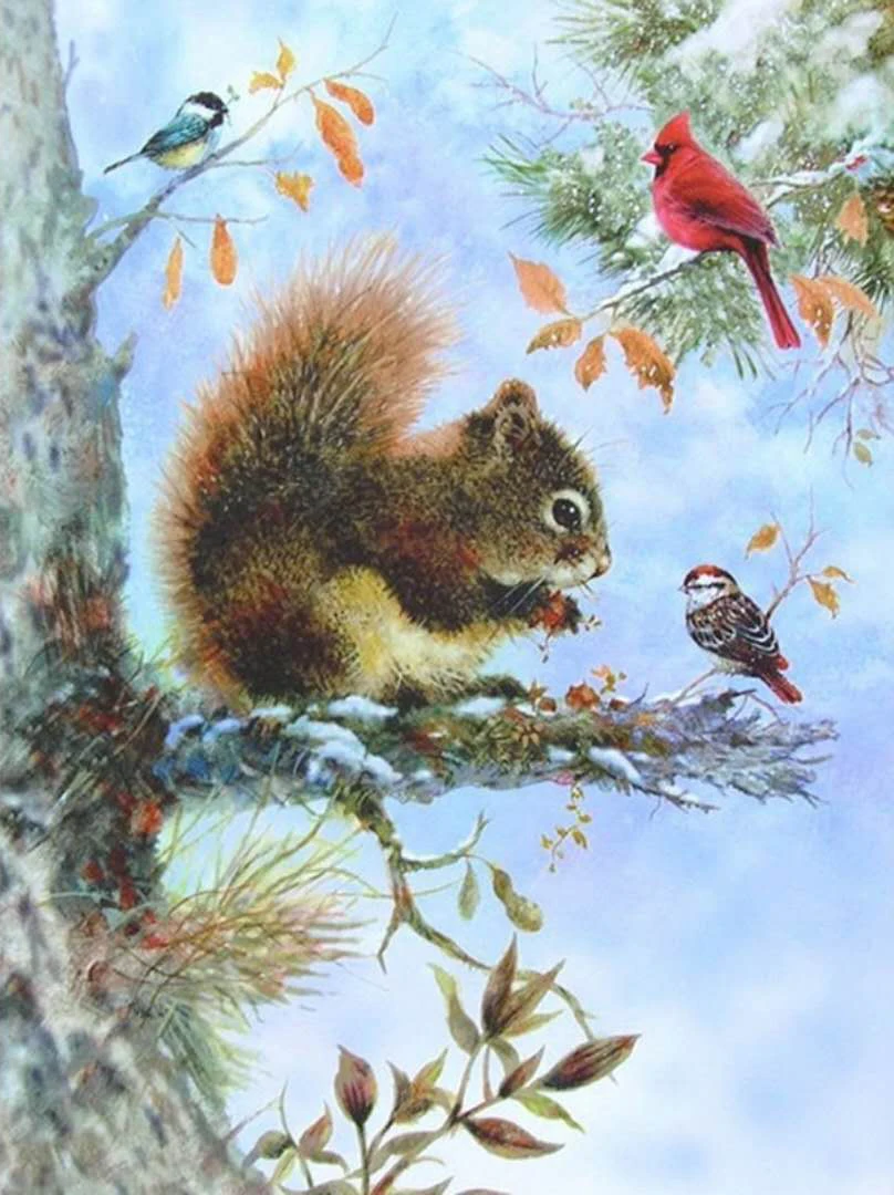 LIPHISFUN Birds Squirel 5D DIY Алмазная картина полностью квадратная Вышивка крестом картины