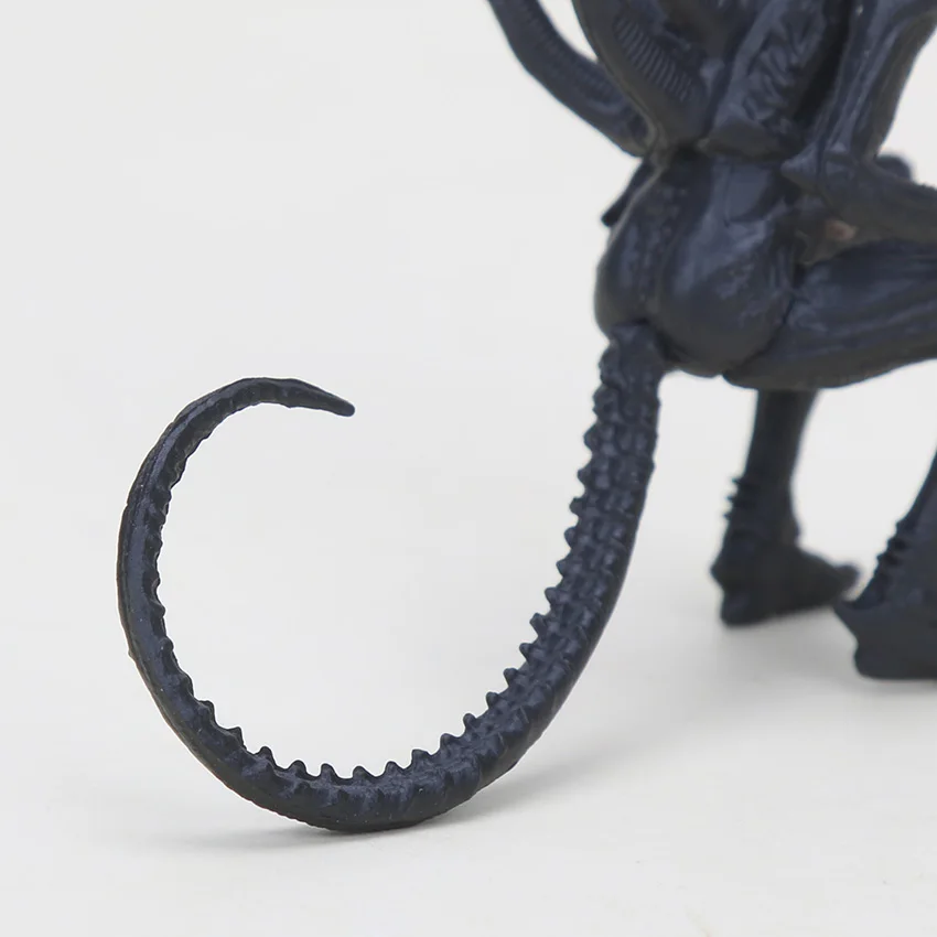 B05