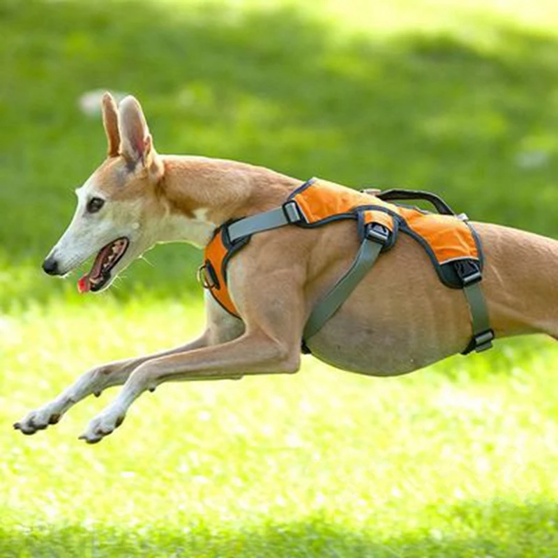 

New Arrival Large Dog Harness Soft Walk Vest Adjustable Pet Puppy Large Dog Harness for Small Medium Large Dogs