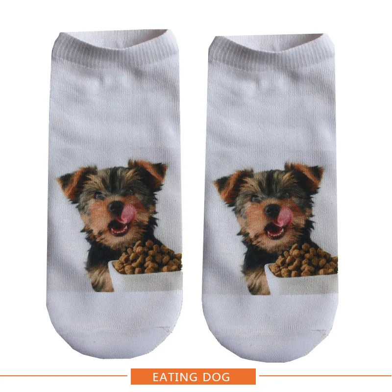 HTB1j9JQOkvoK1RjSZFwq6AiCFXan