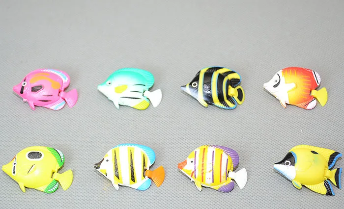Aquarium stand in water swim with tropical fish to...