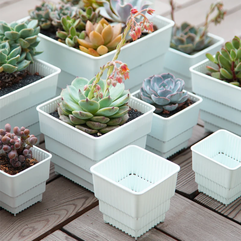 Meshpot 5PCS Plastic Succulents Pot Breathable Square Nursery Pot Succulent Planter Cactus Plant Pot Flower Pot