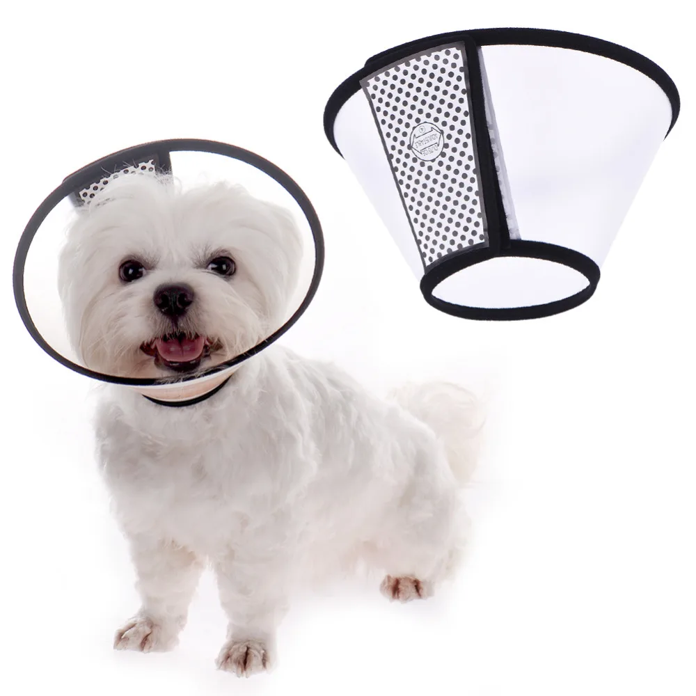 elizabethan collar for dogs compare prices on elizabethan collar shopping buy low price elizabethan elizabethan collar for dogs compare prices on elizabethan collar shopping buy low price elizabethan