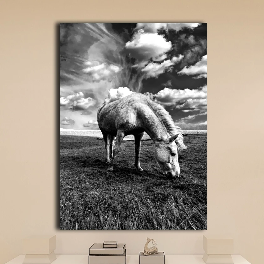 

3 white horse canvas oil paintings modern abstract black and white color graffiti wall art HD printing living room decoration