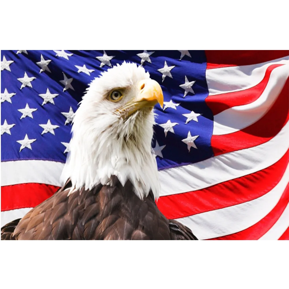 DIY Diamond Painting Kits,Patriotic Eagle American Flag 5D Diamond Painting Full Drill,Diamond Art Perfect For Relaxation And Home Wall Decor 11.8x11.8 InchL8