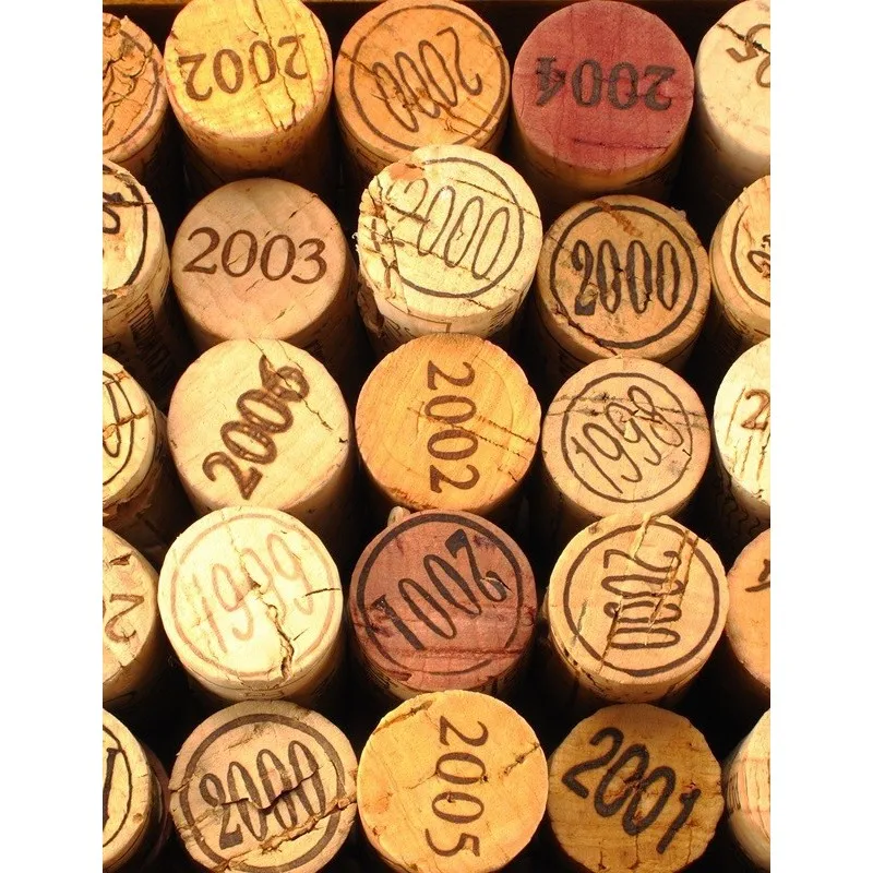 lavavajillas-l011 (1)