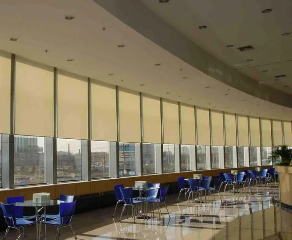 

Translucent Sun Screen Roller Blinds in Beige 35% Polyester 65% PVC Window Curtain for Kitchen Balcony
