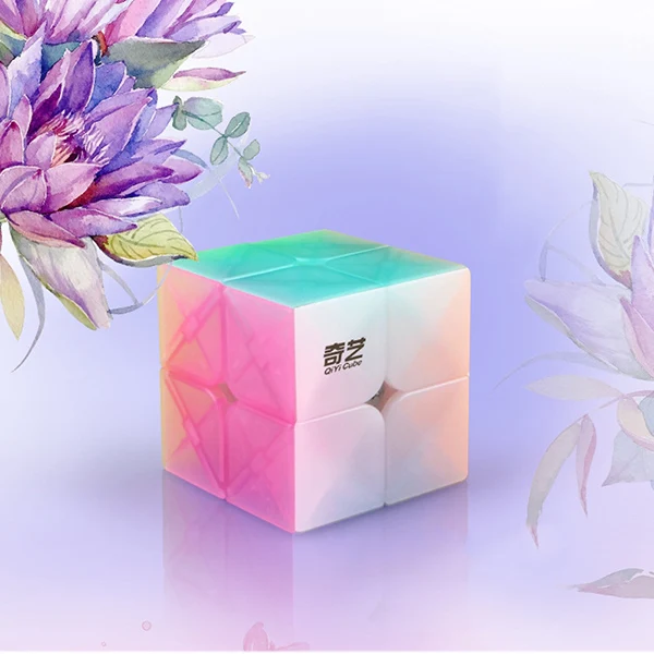 QIYI neo cube 2x2x2 Jelly stickerless Пазлы куб 3x3x3 magic кубики Рубика 4x4x4 cubo magico 5x5x5 qiyi cube Развивающие игрушки - Цвет: 2x2x2