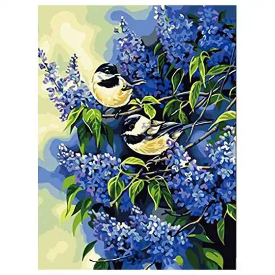 

BLEL Hot Framless Diy Oil Painting Paint By Number Kits Home Decor Wall Pic Value Gift-Two Birds 16 x 20 inch