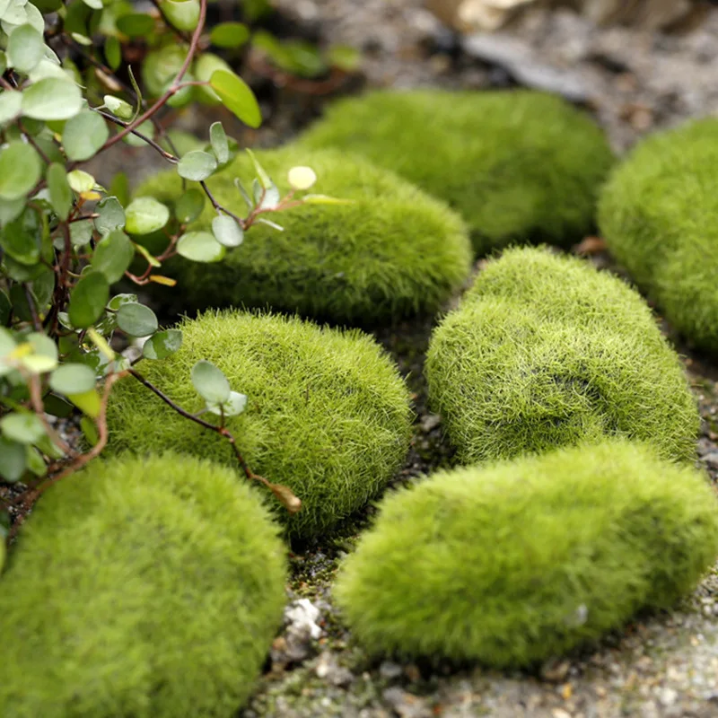 

Green Artificial Moss Stones Grass Artificial Succulents Bonsai Decor Decorative Fake Bryophytes Miniature Garden Landscape 10pc