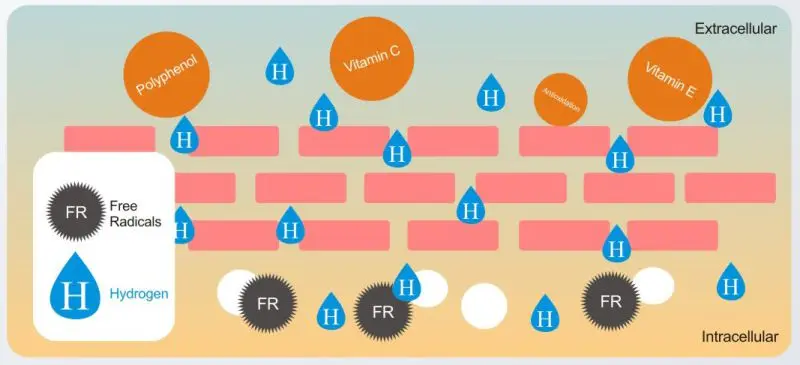 Hydrogen-Water-Flask