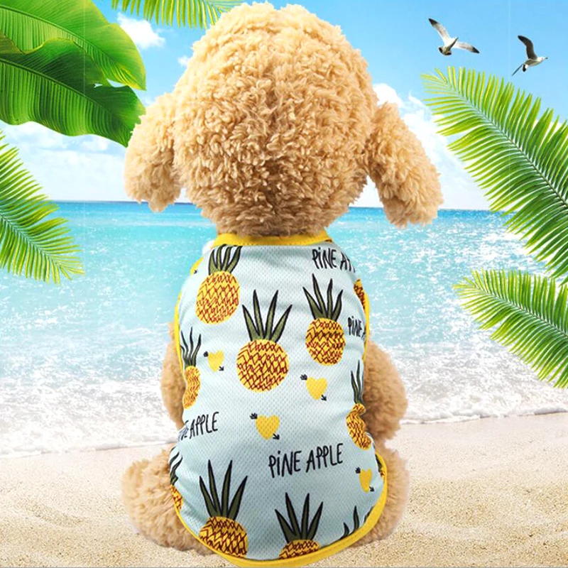 HTB1t4VGh0cnBKNjSZR0q6AFqFXak