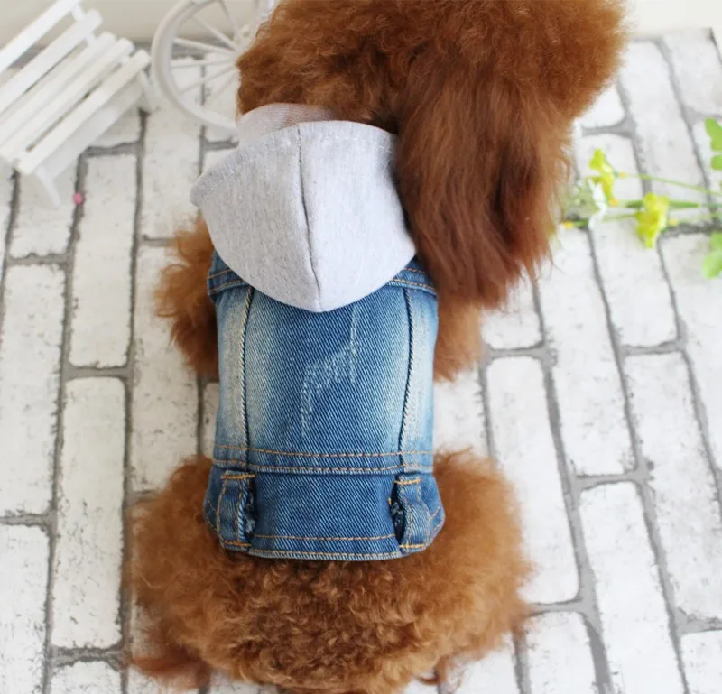 Новая стильная весенне-летняя одежда для собак джинсовая куртка жилет для домашних животных ковбойская одежда для чихуахуа, собак, кошек джинсовая куртка для домашних животных