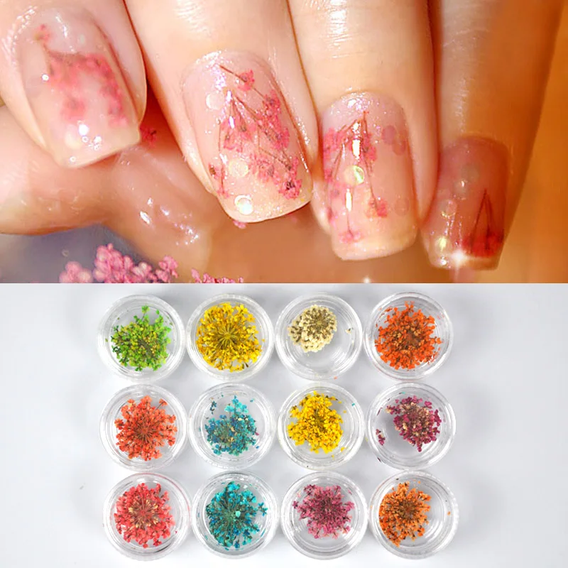 

12 color/1 Set Nail Art Decoration Small Dried Flower DIY Manicure Accessories for Women Lady