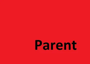 

D2 TEST ITEM Do Not Purchase AliExpressParent 2000008651