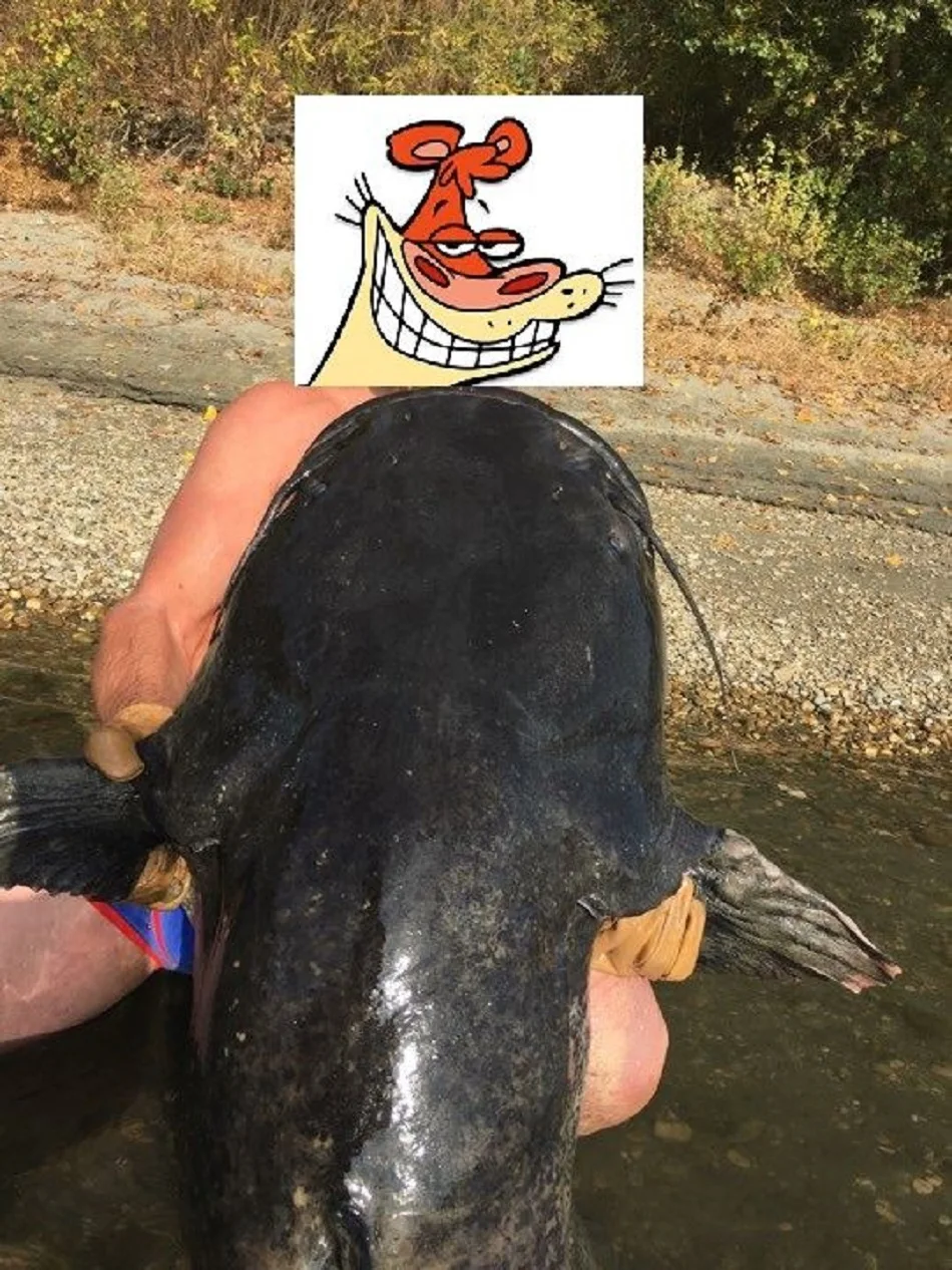 1 (1)