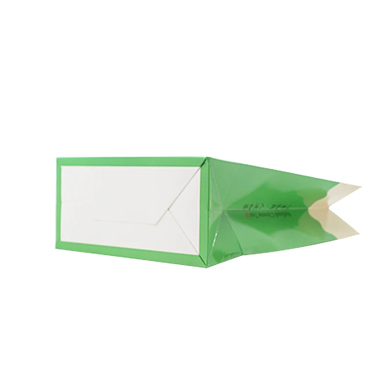 paper bag (4)